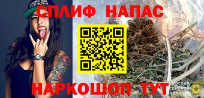 индика Можга