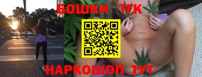 индика Можга