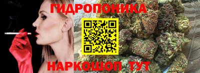 индика Можга