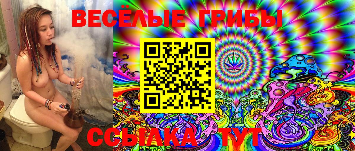 Электрогорск  Галлюциногенные грибы Cubensis  Вход с VPN 